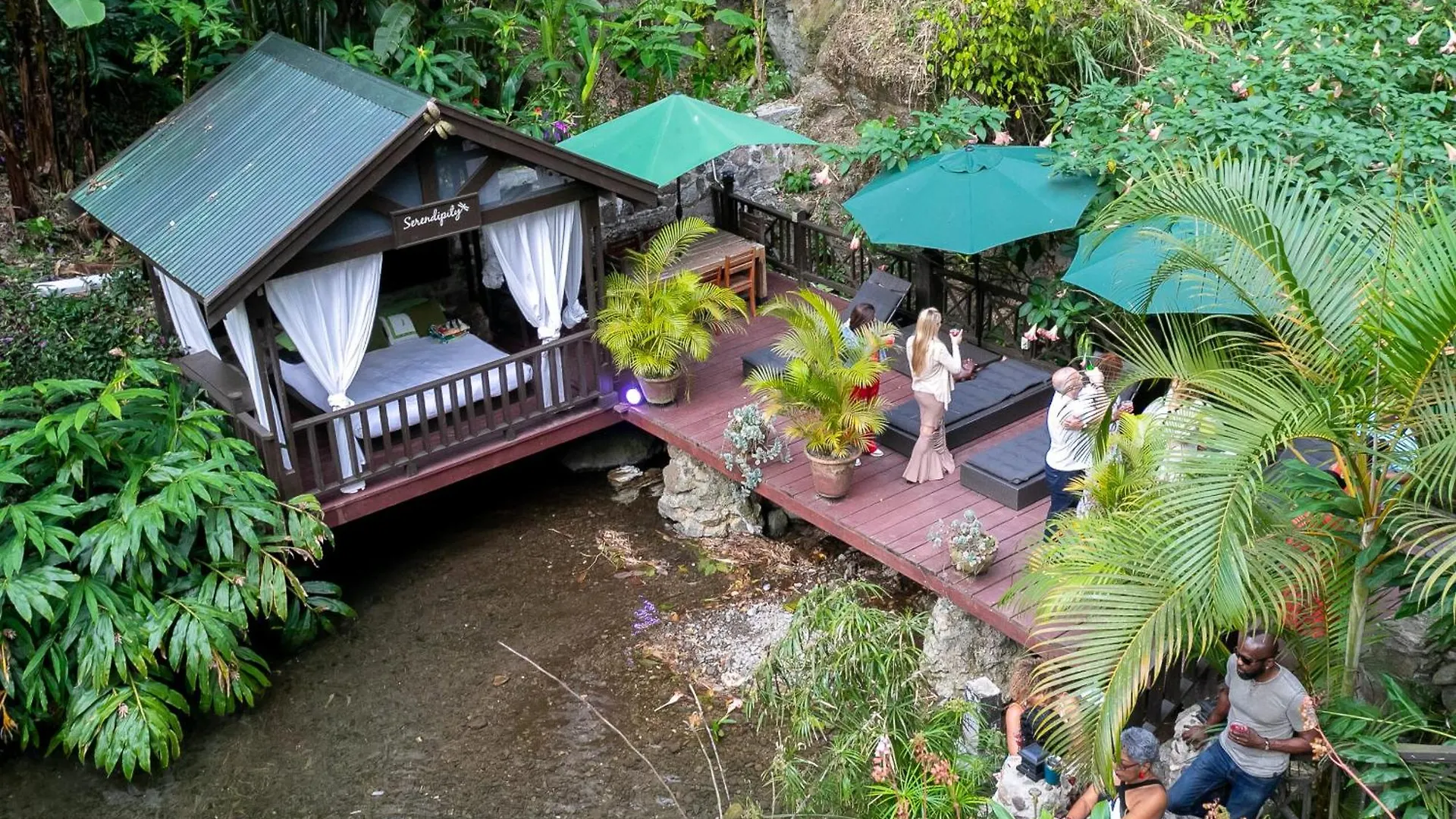 Serendipity Holistic Resort Spa Kingston Hotel