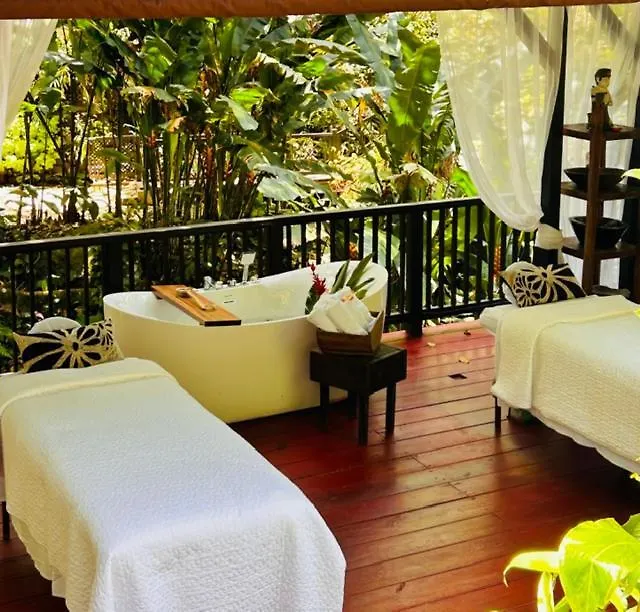 Serendipity Holistic Resort Spa Kingston 4*,  Jamaica